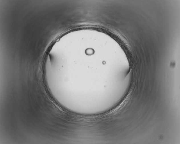 X0000116271357201001111006