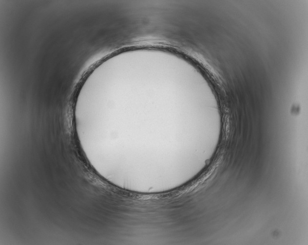 X0000116271358201001111006