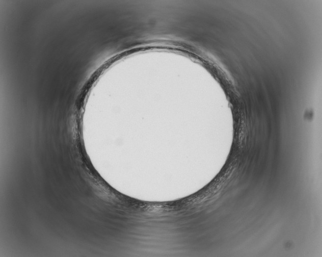 X0000116271360201001111006