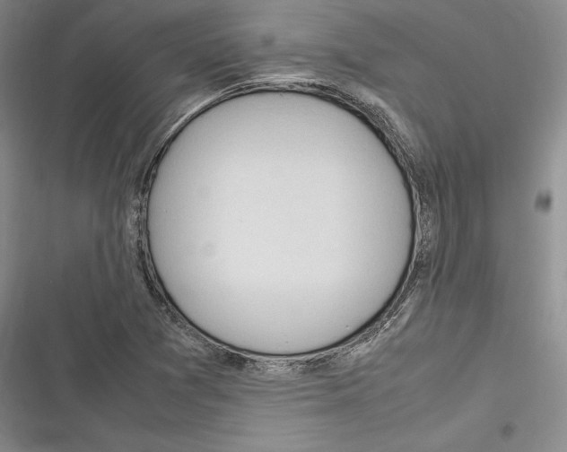X0000116271361201001111005