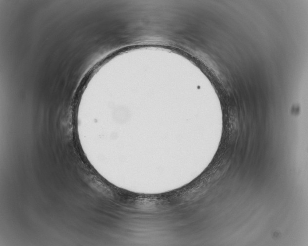 X0000116271364201001111005