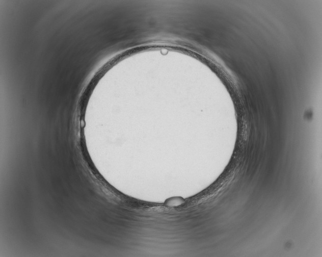 X0000116271368201001111005
