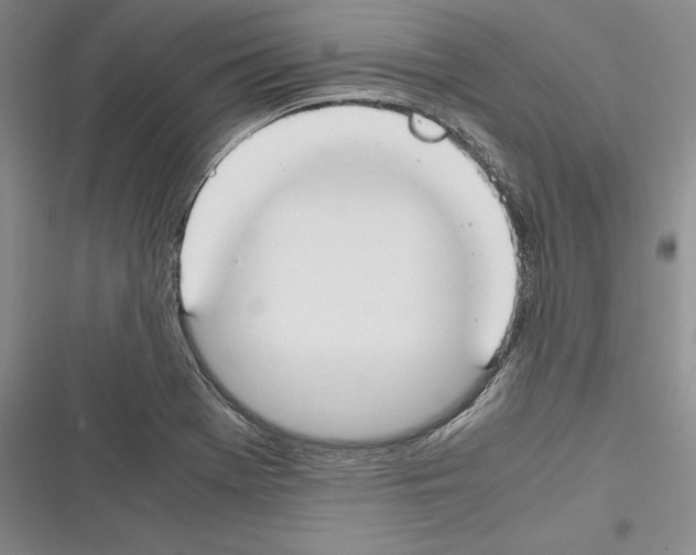 X0000116271369201001111005