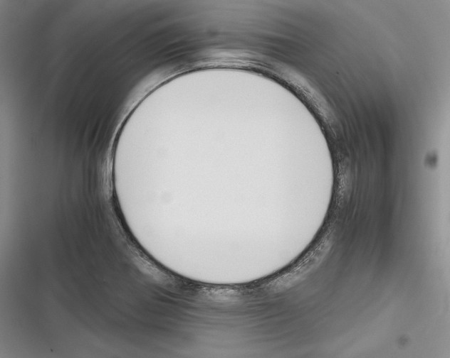 X0000116271370201001111005