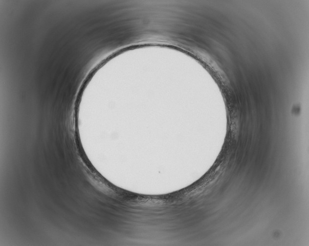 X0000116271372201001111005