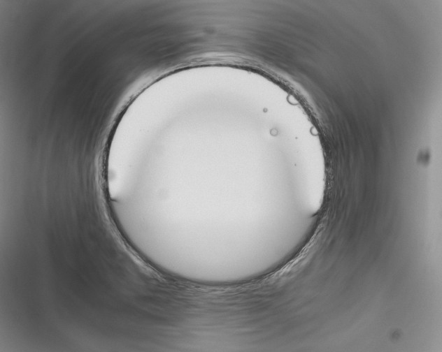 X0000116271373201001111005