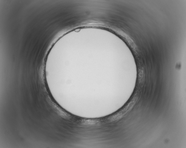 X0000116271374201001111005