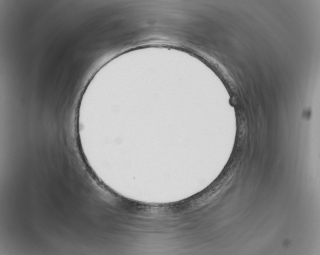 X0000116271375201001111005