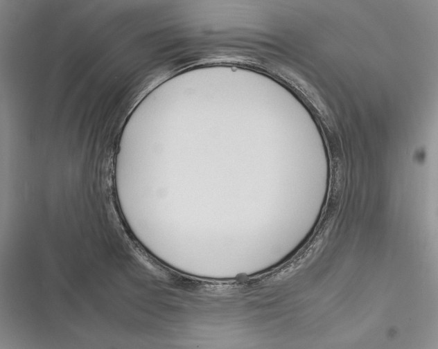 X0000116271377201001111005