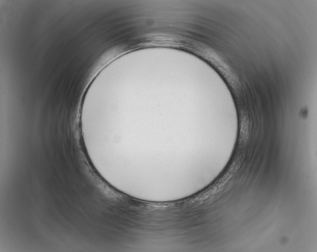 X0000116271378201001111005