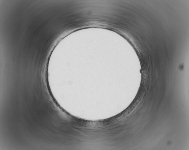 X0000116271379201001111005