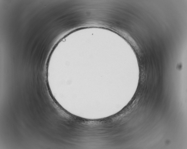 X0000116271380201001111005