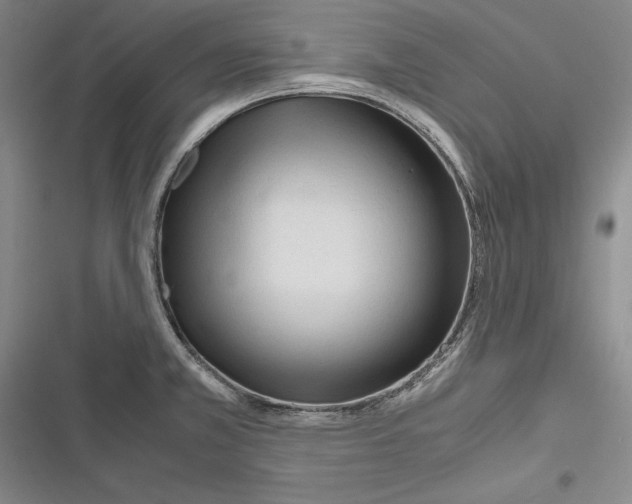 X0000116271381201001111005