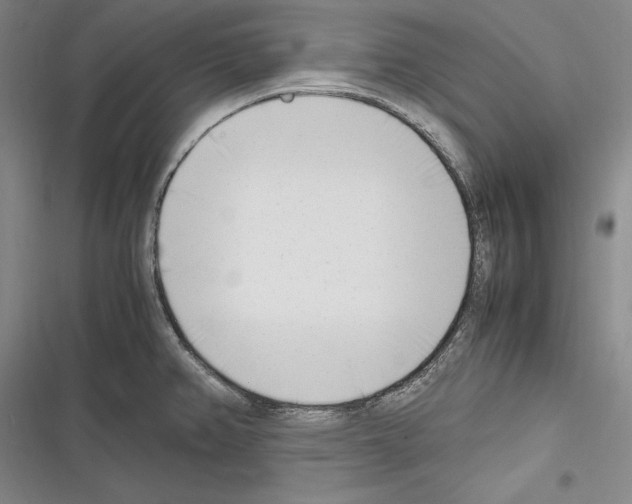 X0000116271382201001111005