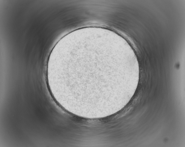 X0000116271383201001111005