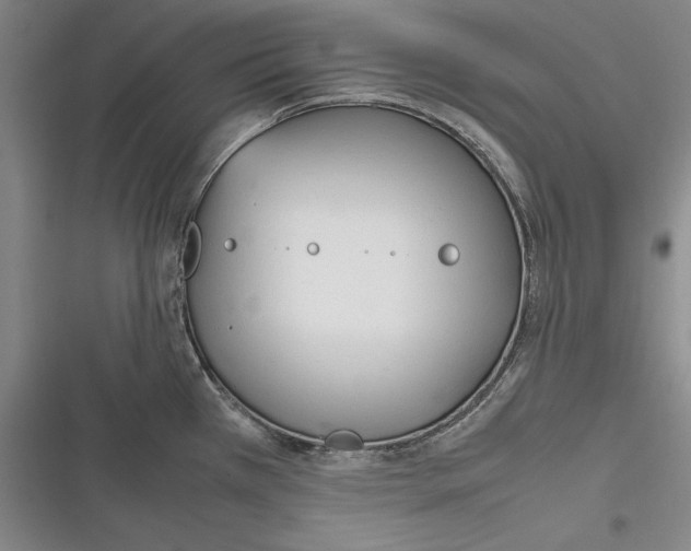 X0000116271385201001111005