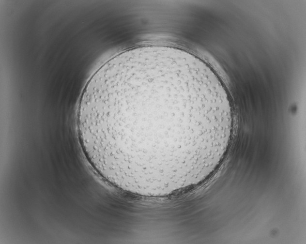 X0000116271386201001111005