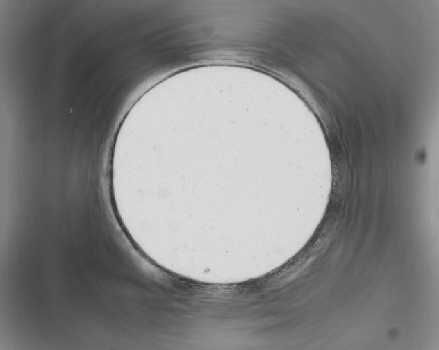 X0000116271387201001111005