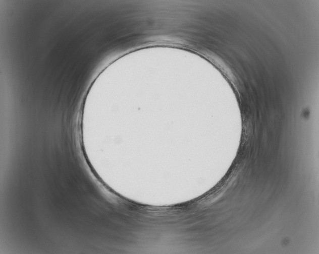 X0000116271391201001111005