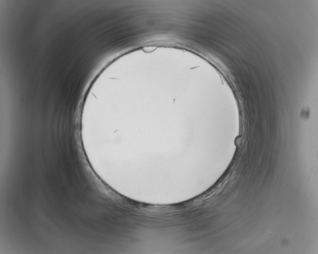 X0000116271392201001111005