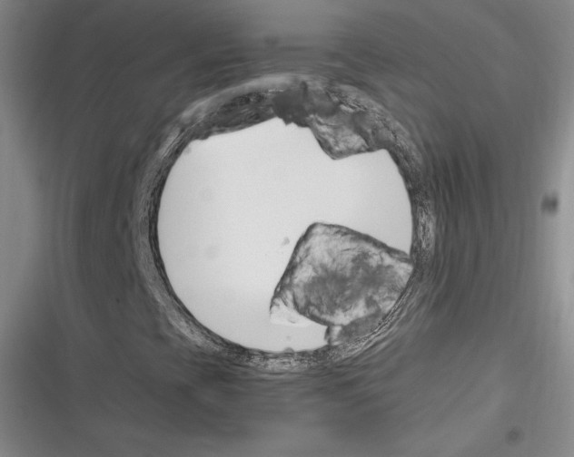 X0000116271393201001111004