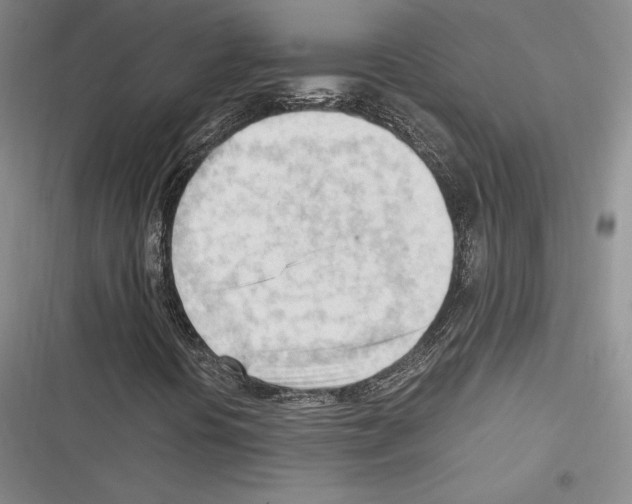 X0000116271394201001111004