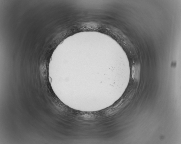 X0000116271395201001111004