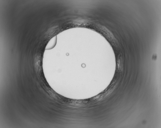 X0000116271396201001111004