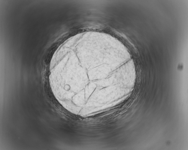 X0000116271399201001111004