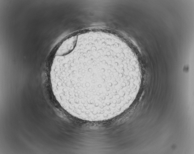 X0000116271400201001111005