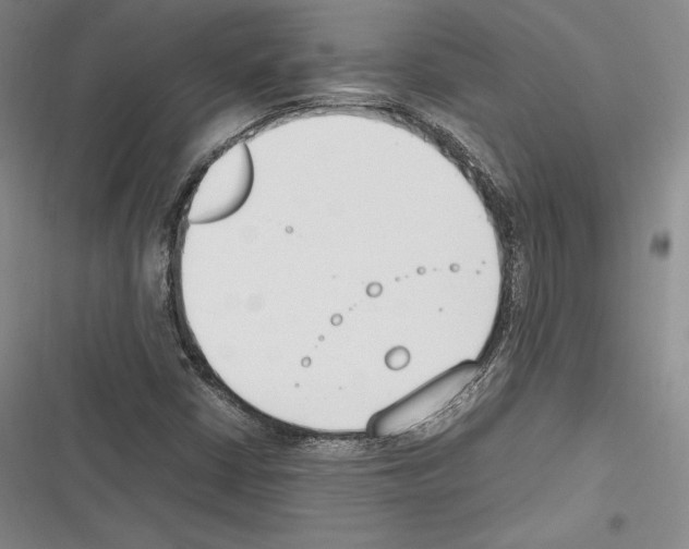 X0000116271402201001111005