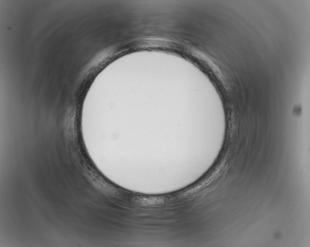 X0000116271403201001111005