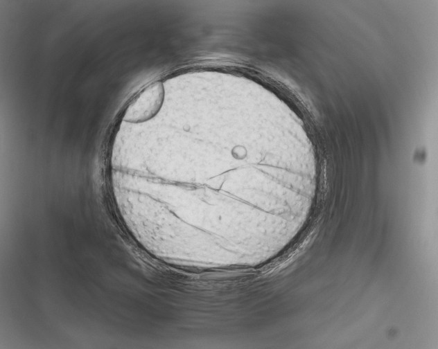X0000116271405201001111005