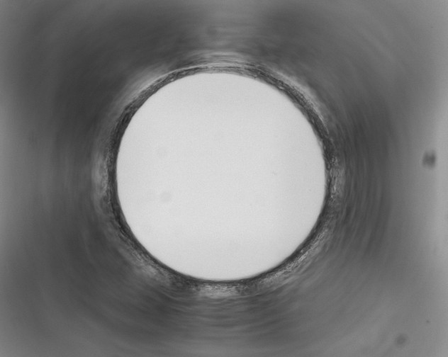 X0000116271407201001111005