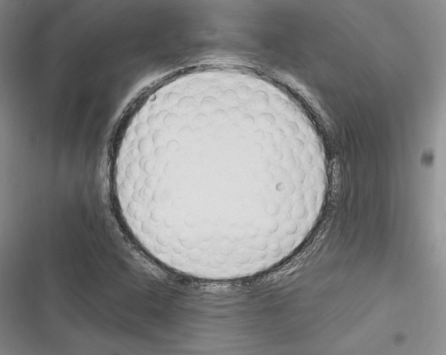 X0000116271408201001111005