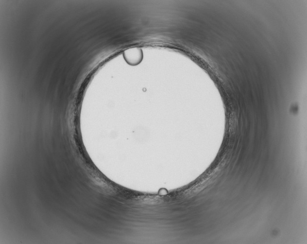 X0000116271410201001111005