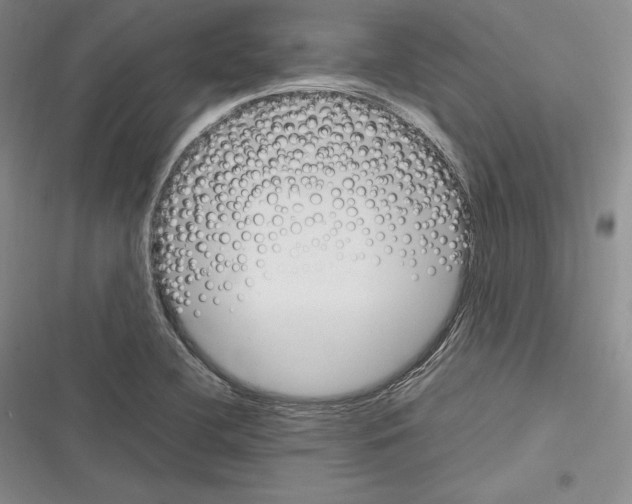 X0000116271412201001111005