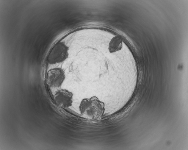 X0000116271413201001111005