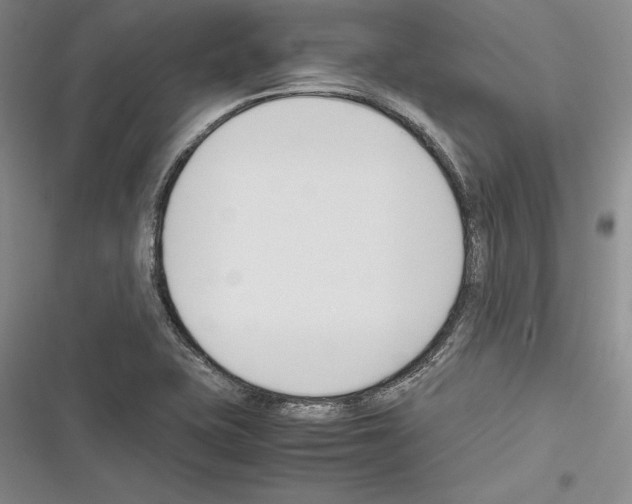 X0000116271415201001111005