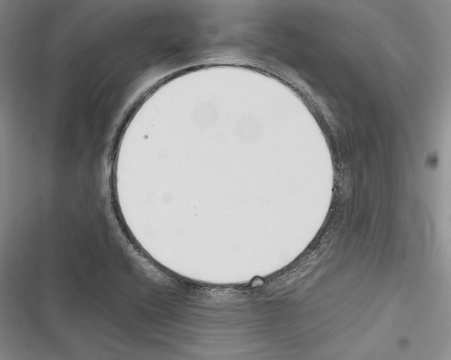X0000116271416201001111005