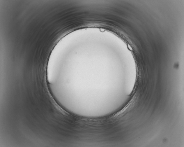 X0000116271417201001111005