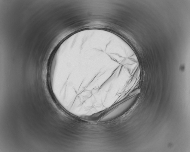 X0000116271418201001111005