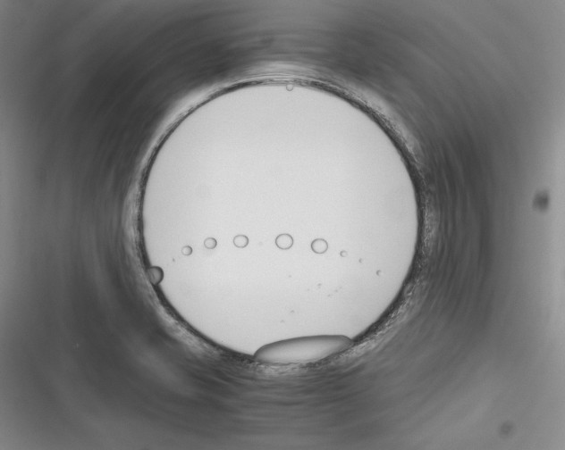 X0000116271421201001111005