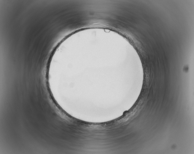 X0000116271422201001111005