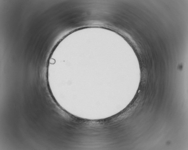 X0000116271424201001111005