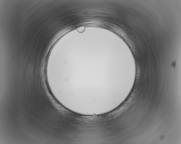 X0000116271426201001111005