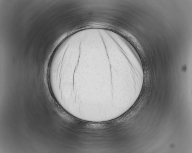 X0000116271427201001111005