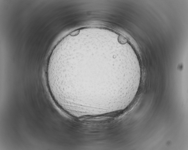 X0000116271429201001111005