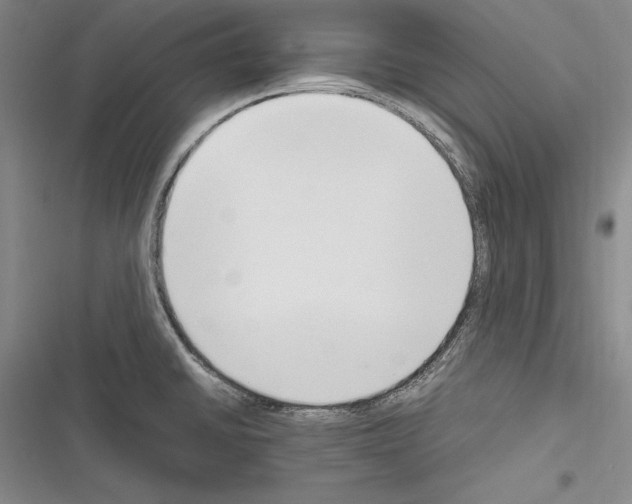X0000116271430201001111005