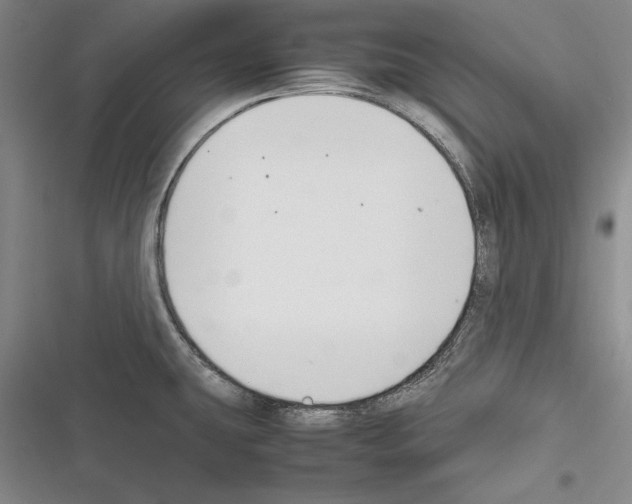 X0000116271431201001111005